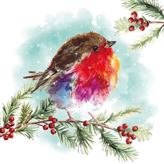 Charity Xmas Cards – Perching Fluffy – Pack of 10 With Envelopes