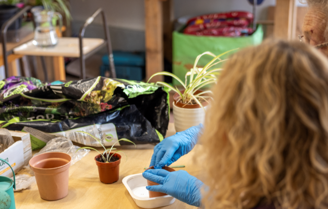 Activities that help older people stay engaged and connected
